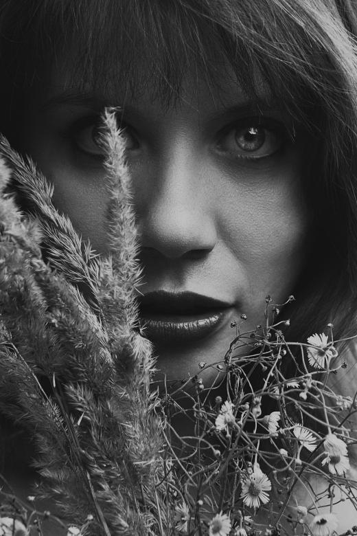 Free stock image of Beauty portrait created by Alexander Krivitskiy
