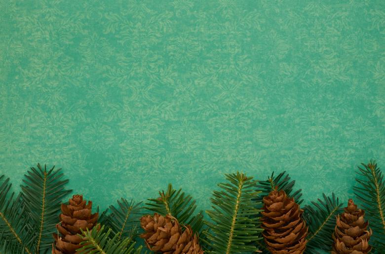 Free stock image of Seasonal background created by Seacoast sage