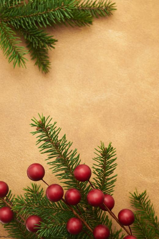 Free stock image of Christmas decor created by Seacoast sage