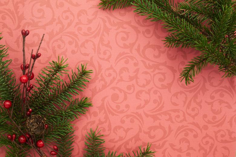 Free stock image of Seasonal background created by Seacoast sage