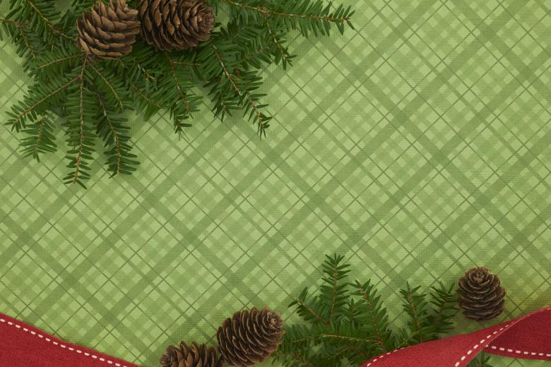 Free stock image of Seasonal background created by Seacoast sage