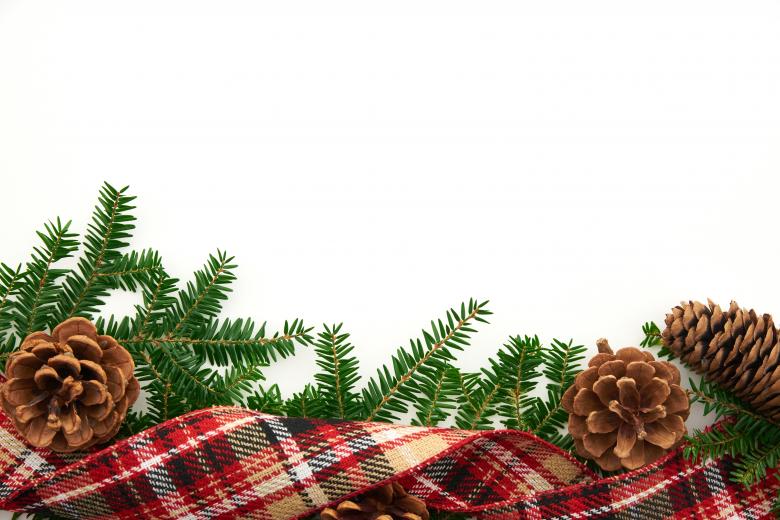 Free stock image of Christmas background created by Seacoast sage