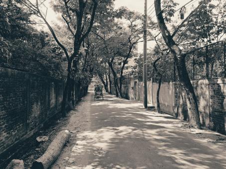 beautiful view dhaka boshundhara in 1950s - Free Stock Photo