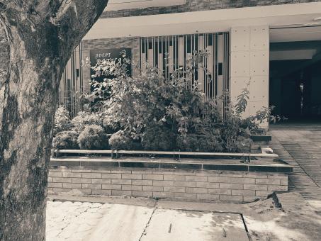 beautiful building view outside