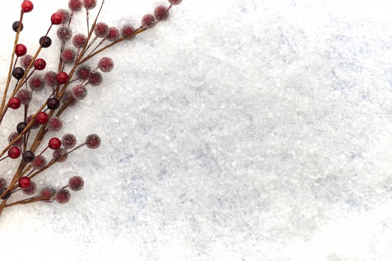 Free stock image of Seasonal background created by Seacoast sage