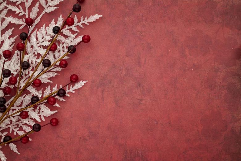 Free stock image of Seasonal background created by Seacoast sage