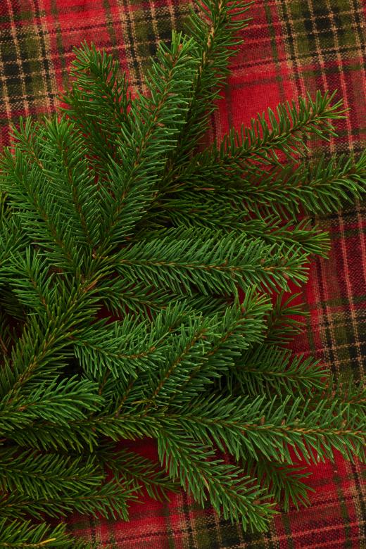 Free stock image of Christmas background created by Seacoast sage