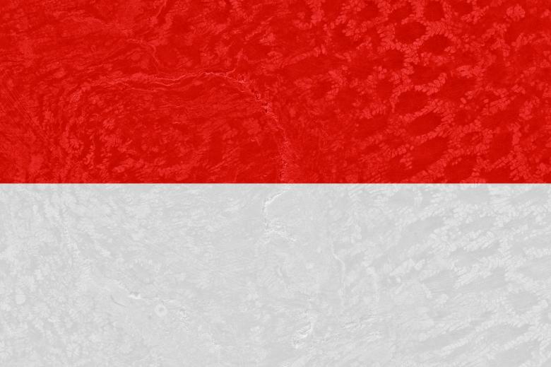 Free stock image of Coral Flag - Indonesia created by Nicolas Raymond