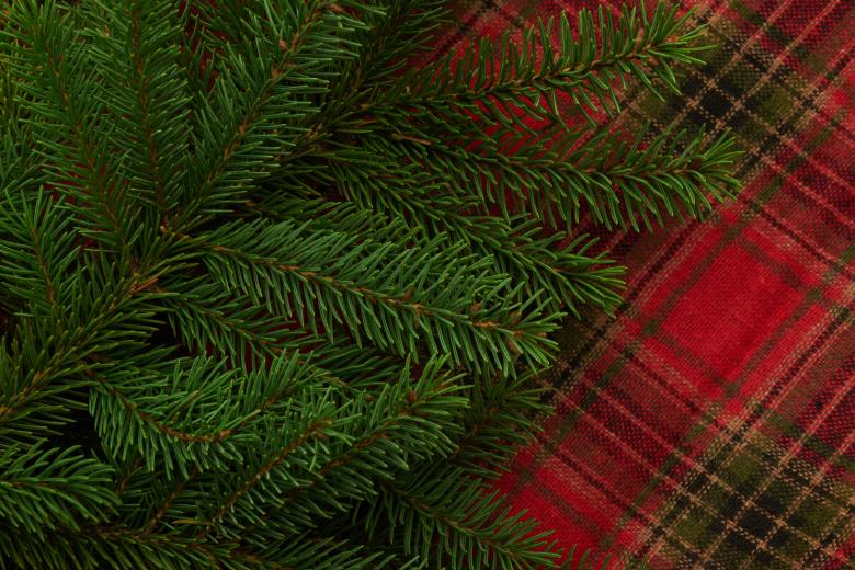 Free stock image of Christmas background created by Seacoast sage