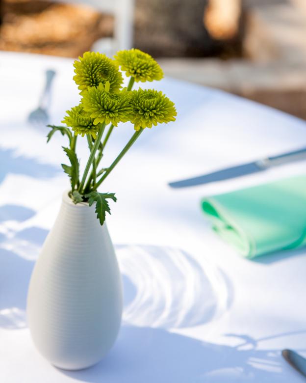 Free stock image of Flower vase created by Matt Bango
