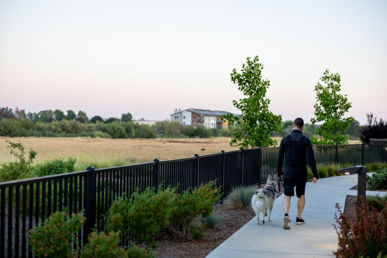Free stock image of Man walking dog created by Matt Bango
