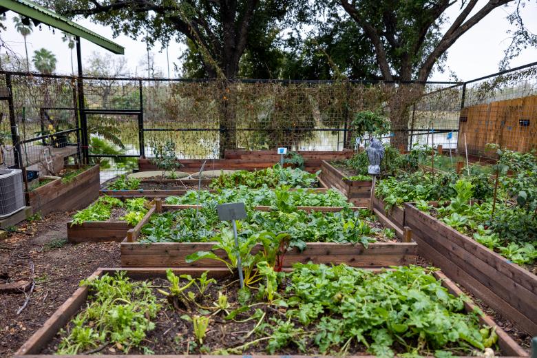 Free stock image of Garden created by Matt Bango