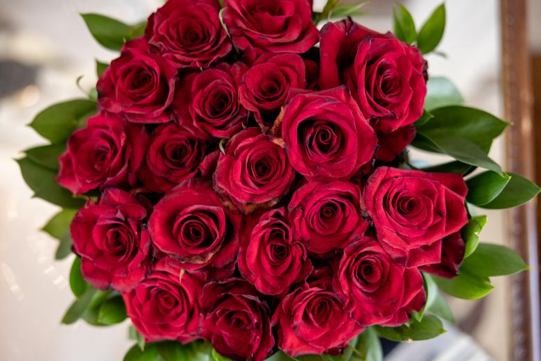 Free stock image of Roses created by Matt Bango