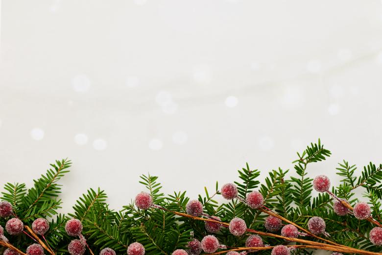 Free stock image of Holiday background created by Seacoast sage