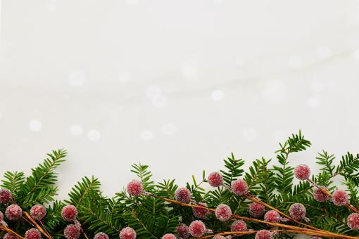 Holiday background - Free Stock Photo