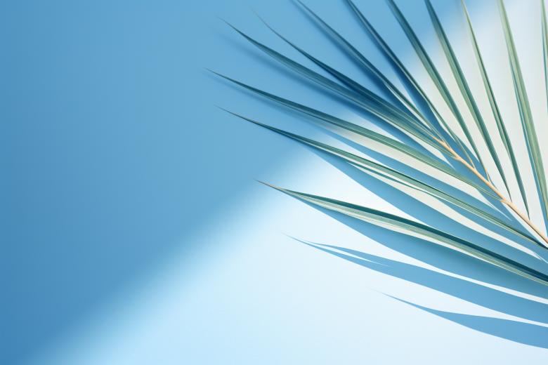 Free stock image of Blurred Palm Leaf Shadow on Light Blue Wall: Minimal Abstract created by Rjdp