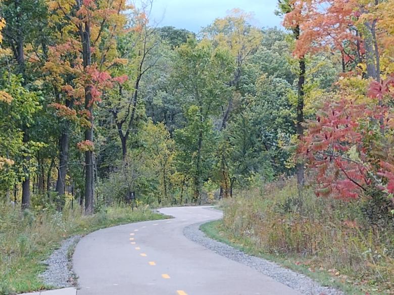 Free stock image of Fall Free Screensaver created by Mq Best Visual Arts