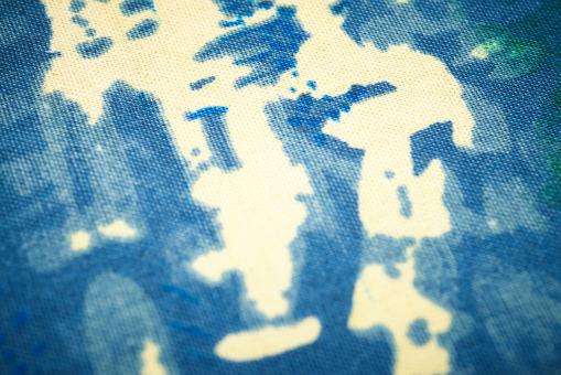 Canvas fabric