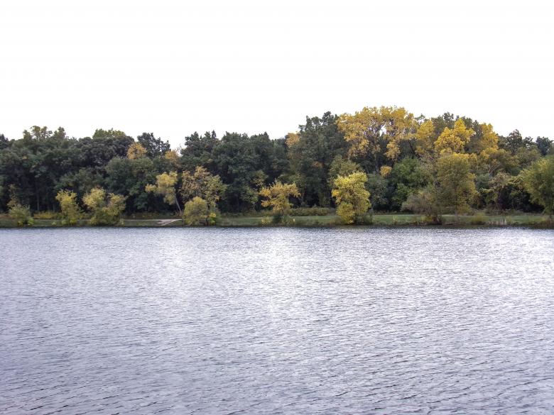 Free stock image of Best Autumn Screensaver created by Mq Best Visual Arts