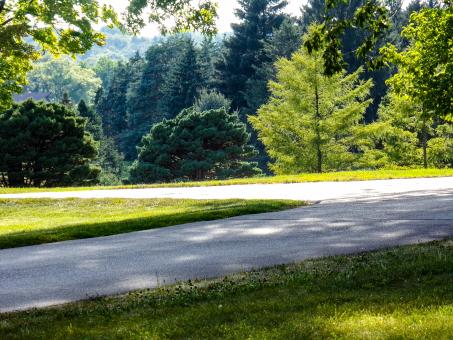 Morton Arboretum Wallpaper - Free Stock Photo