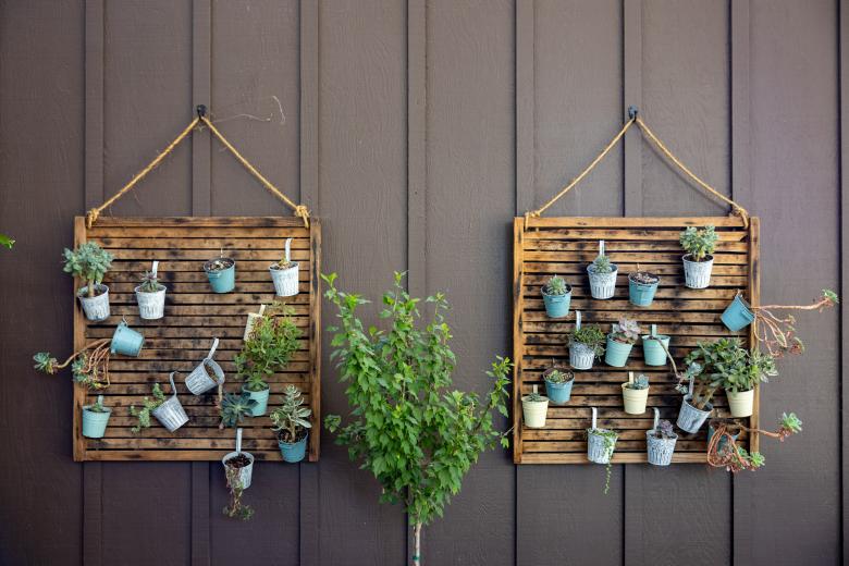 Free stock image of Potted plants created by Matt Bango