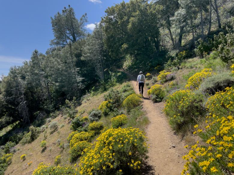 Free stock image of Hiker created by Matt Bango