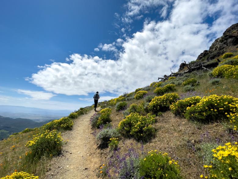 Free stock image of Hiker landscape created by Matt Bango