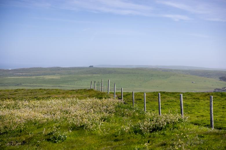 Free stock image of Grassy field created by Matt Bango