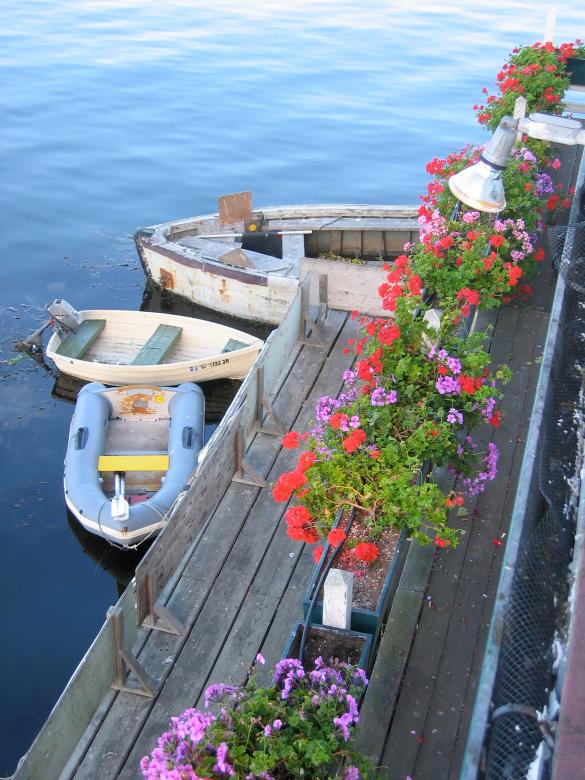 Free stock image of Row boats created by Secret Agency