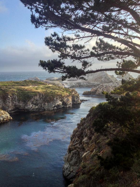 Free stock image of California coast created by Matt Bango
