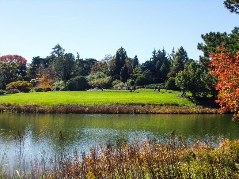 Free stock image of Walking In Botanic Gardens created by Mq Best Visual Arts