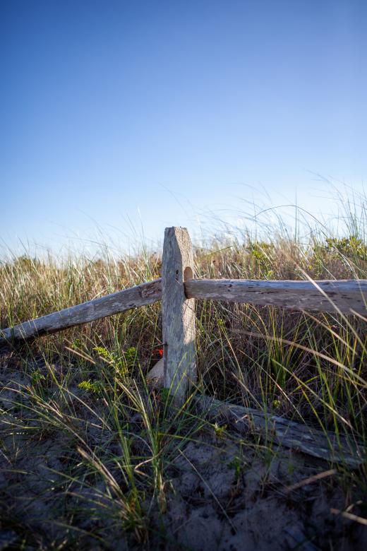 Free stock image of Rural fence created by Matt Bango