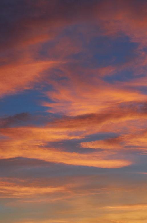 Free stock image of Vibrant sunset created by Secret Agency