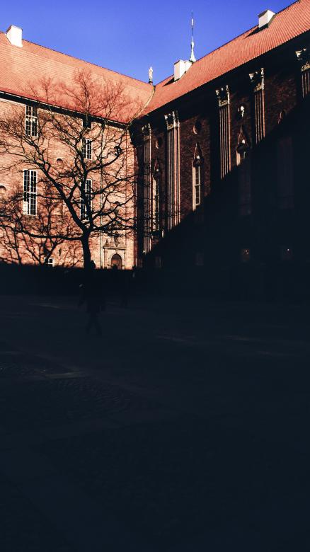 Free stock image of Building in tree's shadows created by Daria Chemeris