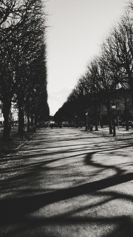 Free stock image of Black and white street created by Daria Chemeris