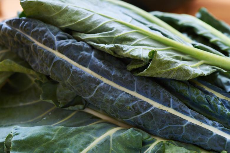 Free stock image of Fresh Kale created by Secret Agency