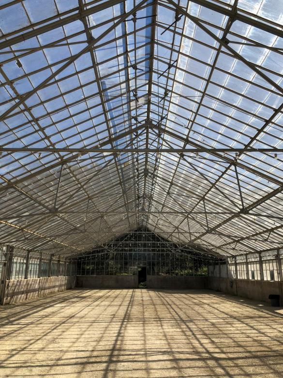 Free stock image of Greenhouse  created by Matt Bango