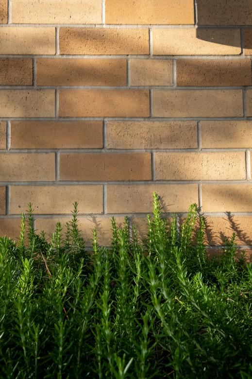 Free stock image of Brick exterior wall created by Matt Bango