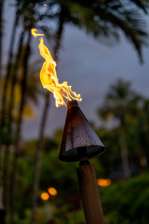 Free stock image of Tiki Torch Fire created by Matt Bango
