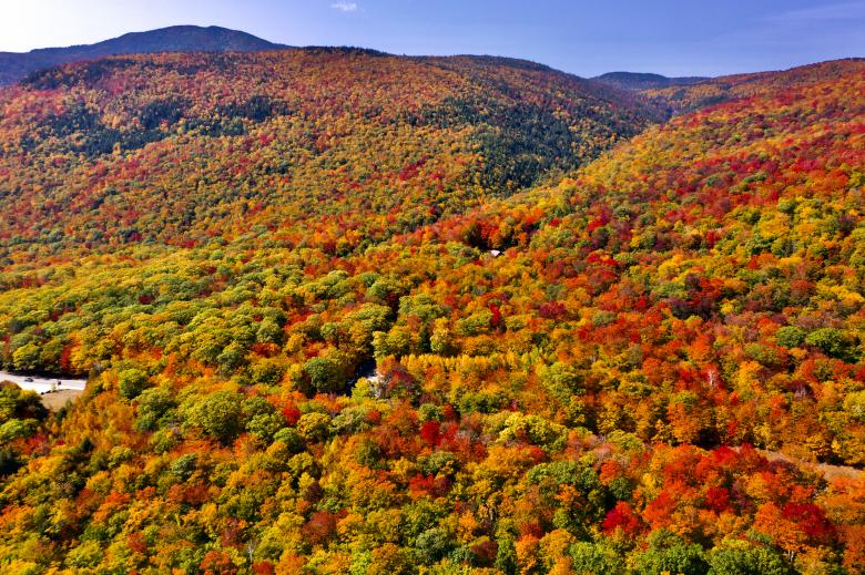 Free stock image of Fall Mountain Landscape created by JJ Sky