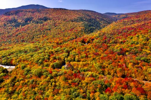 Free Stock Photo of Fall Mountain Landscape