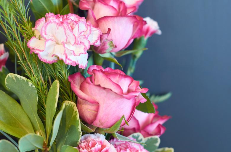 Free stock image of Pink roses created by Secret Agency
