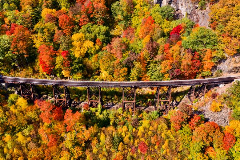 Free stock image of Autumn train tracks created by JJ Sky