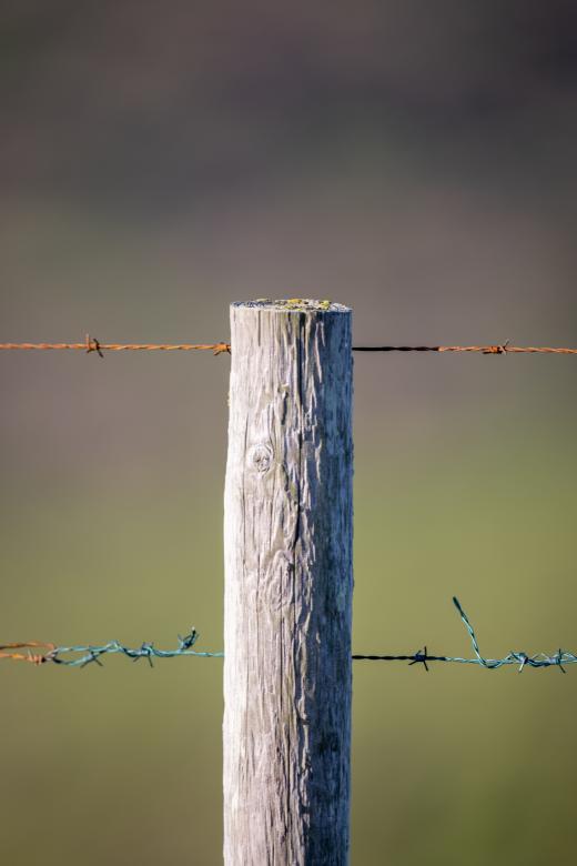 Free stock image of Wooden fence post created by Matt Bango