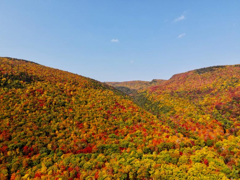 Free stock image of Fall foliage mountains created by JJ Sky