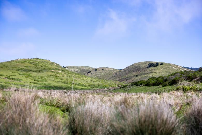 Free stock image of Scenic valley landscape created by Matt Bango