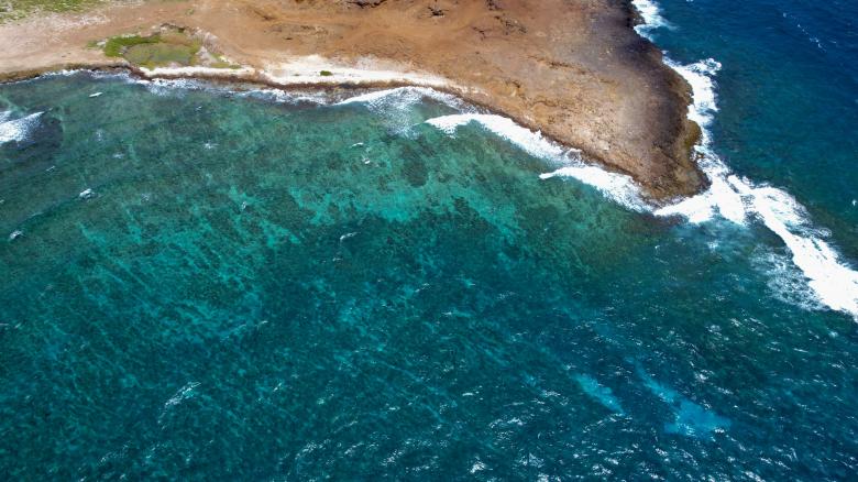 Free stock image of Tropical coast created by JJ Sky