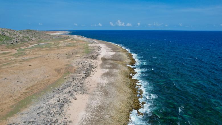 Free stock image of Tropical beach aerial created by JJ Sky