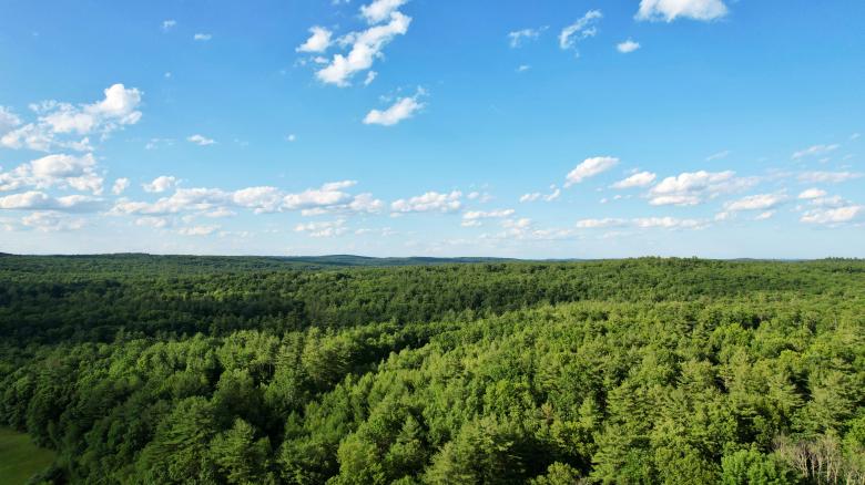 Free stock image of Green forest aerial created by JJ Sky
