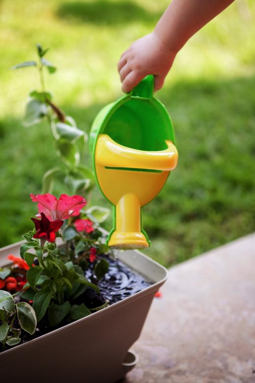 Free stock image of Watering plants created by Matt Bango